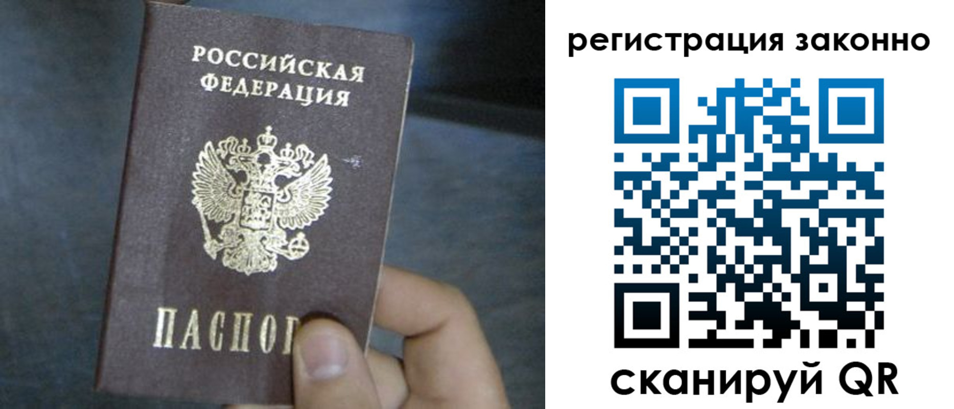 где прописаться в Щёлково